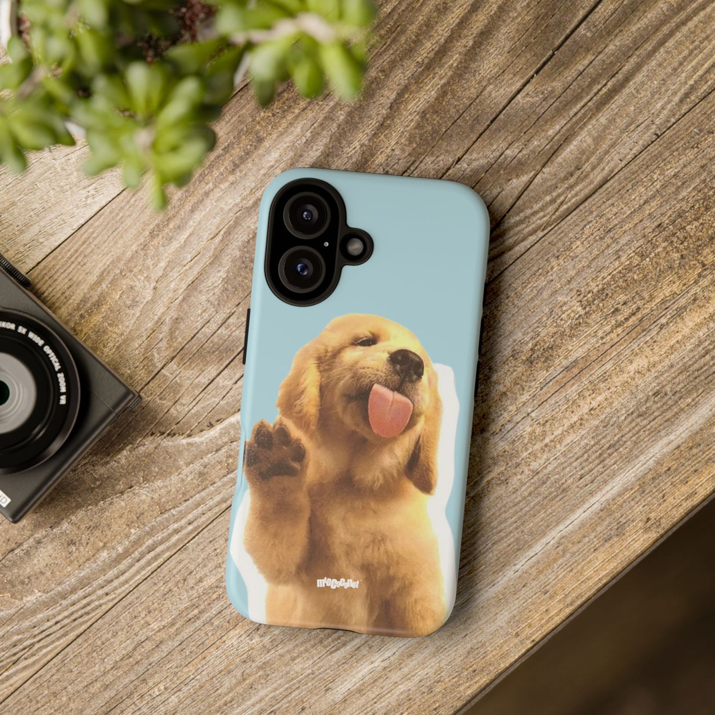 This is My Golden Era