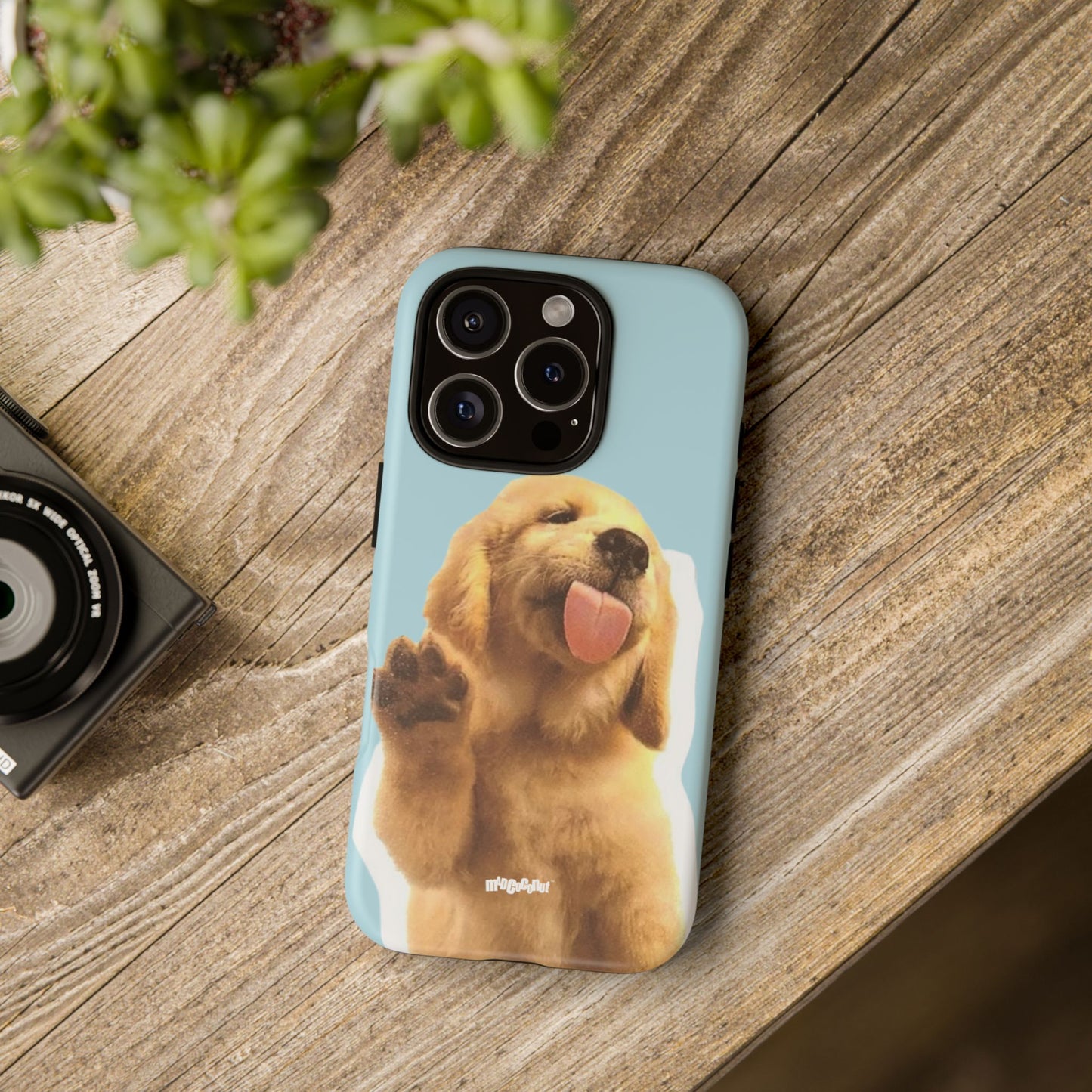 This is My Golden Era