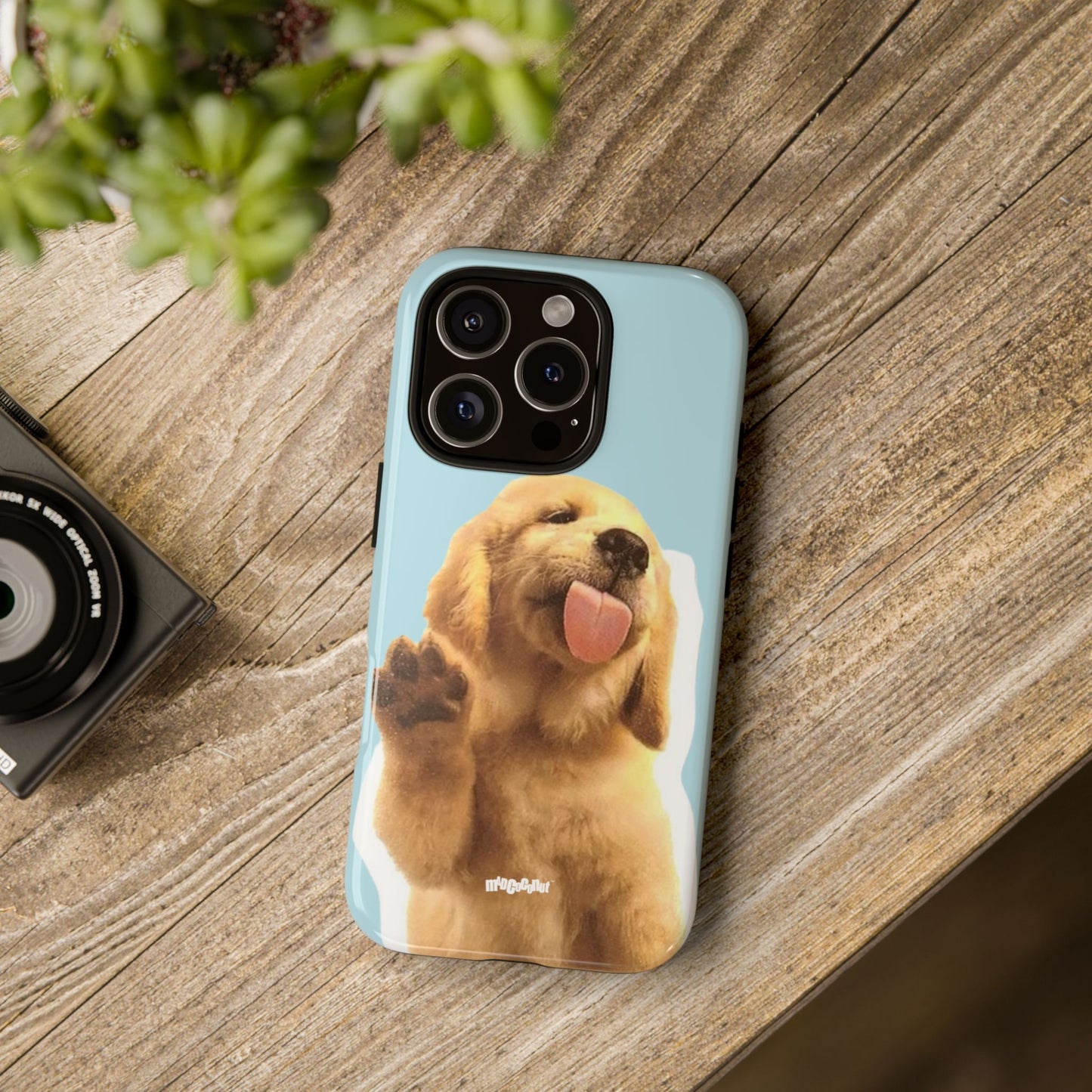 This is My Golden Era