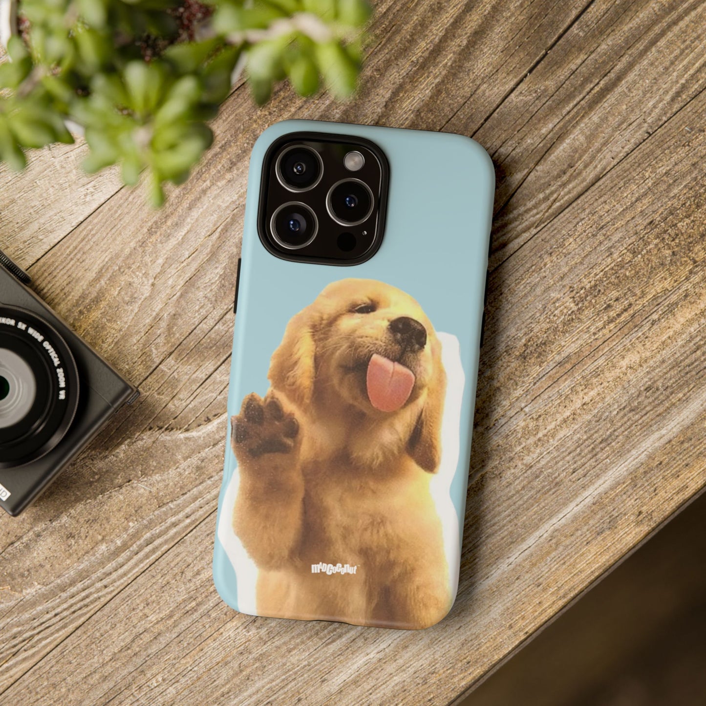 This is My Golden Era